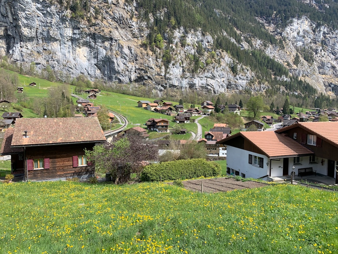 brown and white houses